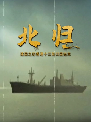 蜡笔小新2001剧场版风起云涌猛烈大人帝国的反击